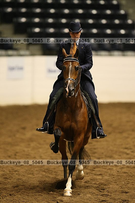 Proof Number buckeye_08_5045