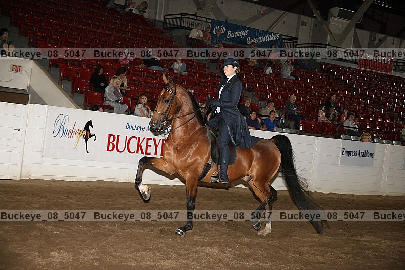 Proof Number buckeye_08_5047
