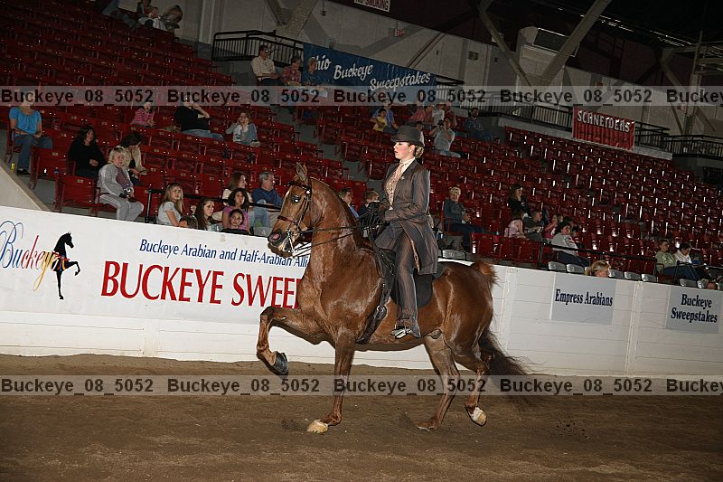 Proof Number buckeye_08_5052
