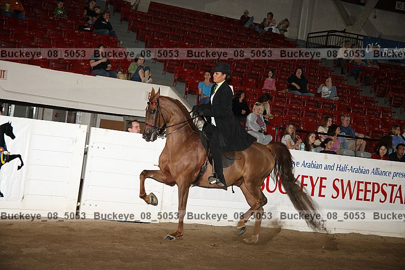 Proof Number buckeye_08_5053