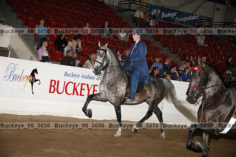 Proof Number buckeye_08_5056