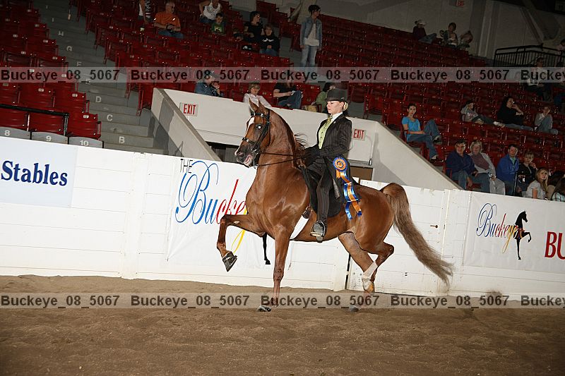 Proof Number buckeye_08_5067
