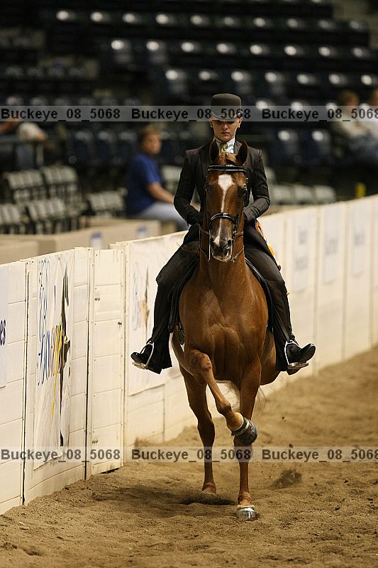 Proof Number buckeye_08_5068