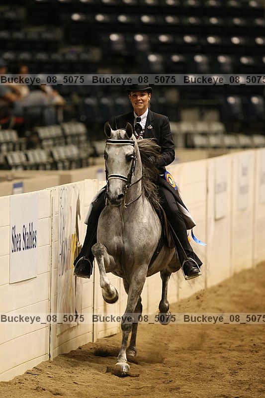 Proof Number buckeye_08_5075