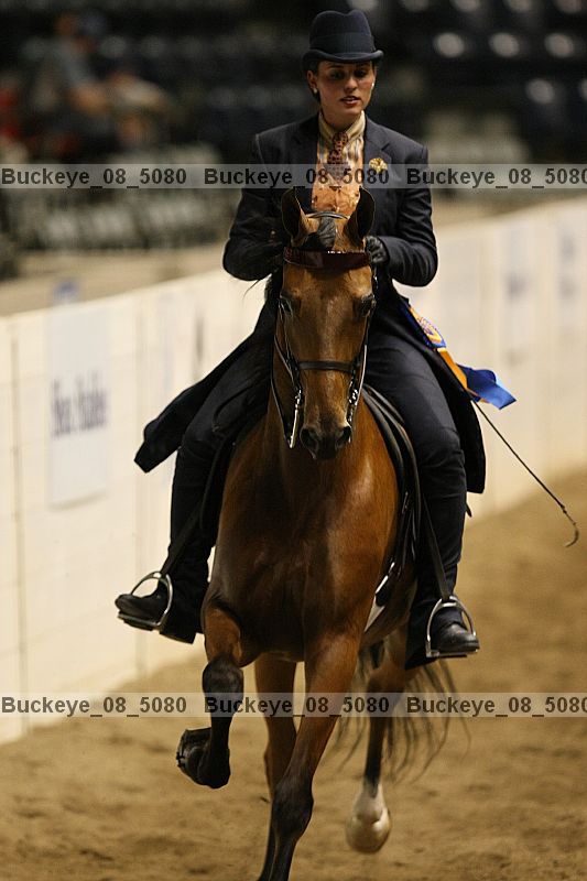 Proof Number buckeye_08_5080