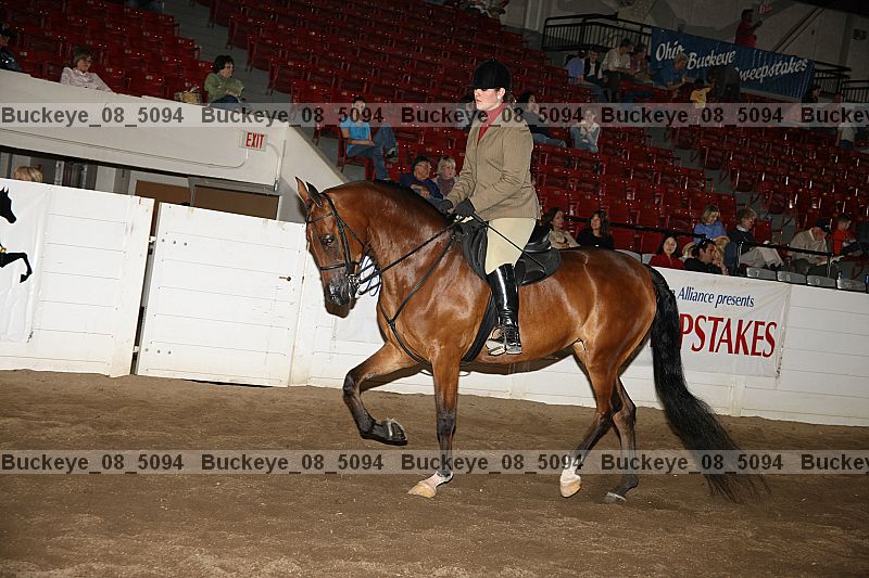 Proof Number buckeye_08_5094