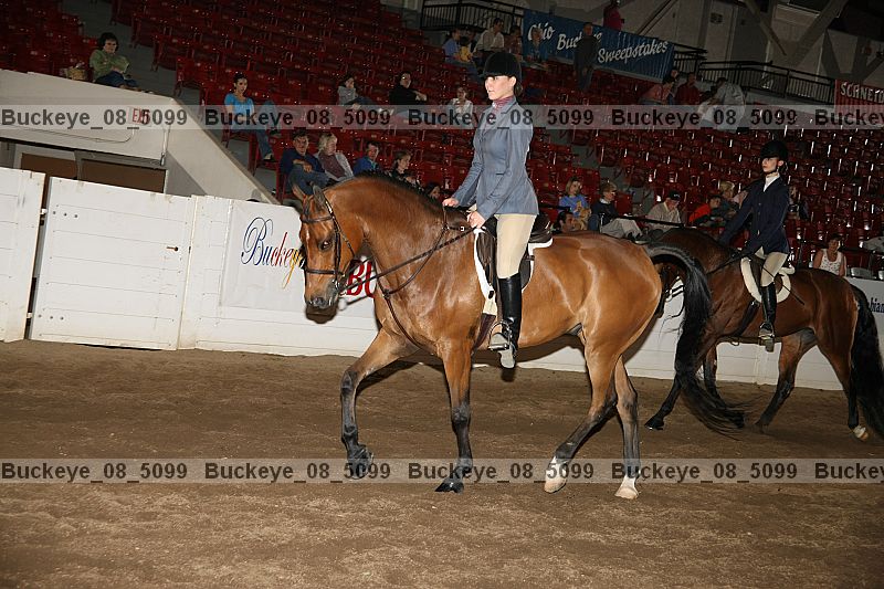 Proof Number buckeye_08_5099