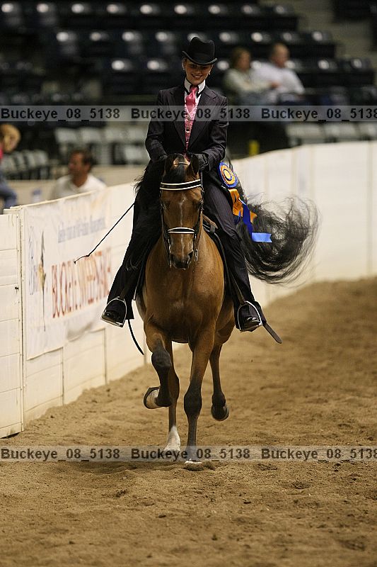 Proof Number buckeye_08_5138