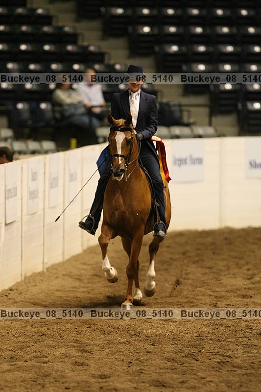 Proof Number buckeye_08_5140