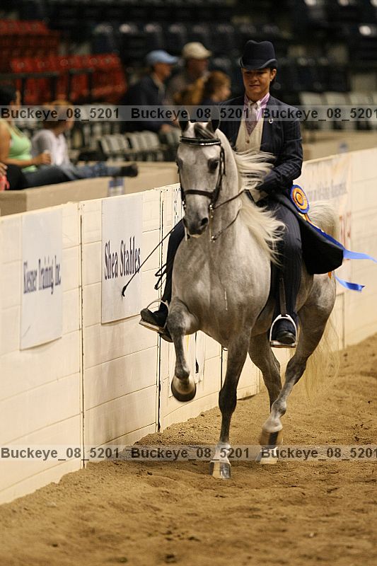 Proof Number buckeye_08_5201