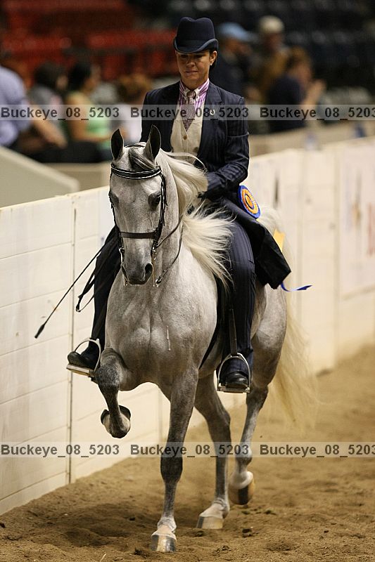 Proof Number buckeye_08_5203
