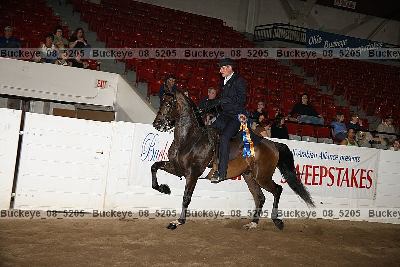Proof Number buckeye_08_5205