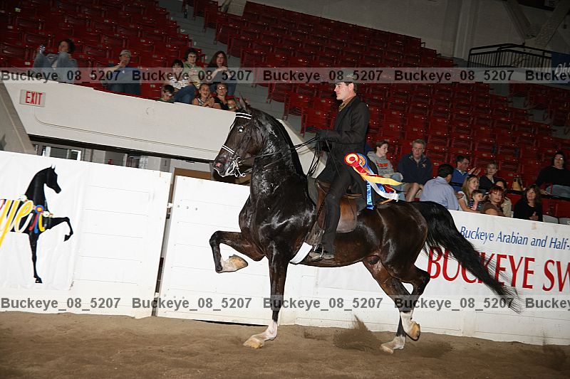 Proof Number buckeye_08_5207