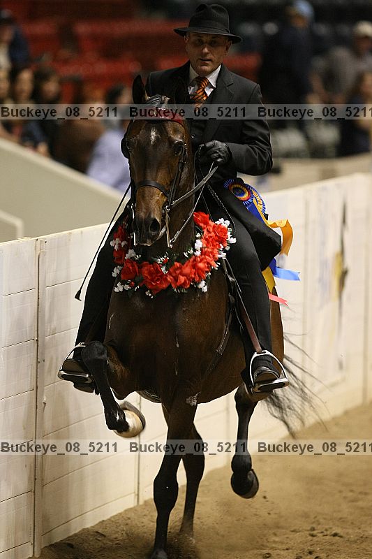 Proof Number buckeye_08_5211