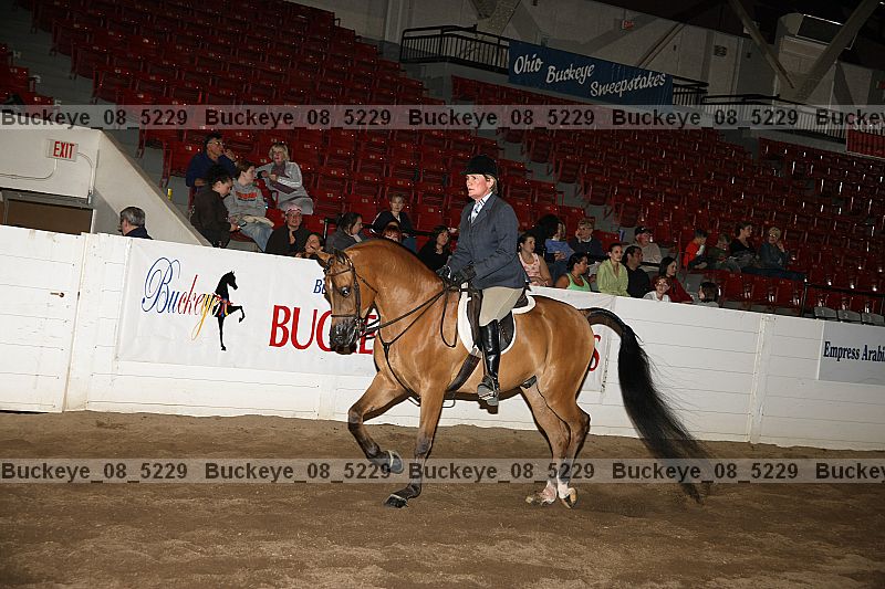 Proof Number buckeye_08_5229