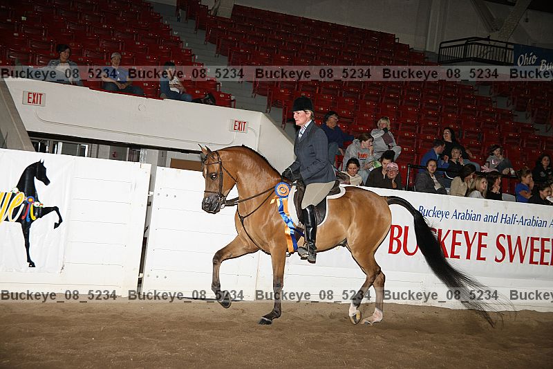 Proof Number buckeye_08_5234