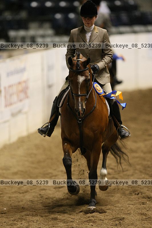 Proof Number buckeye_08_5239