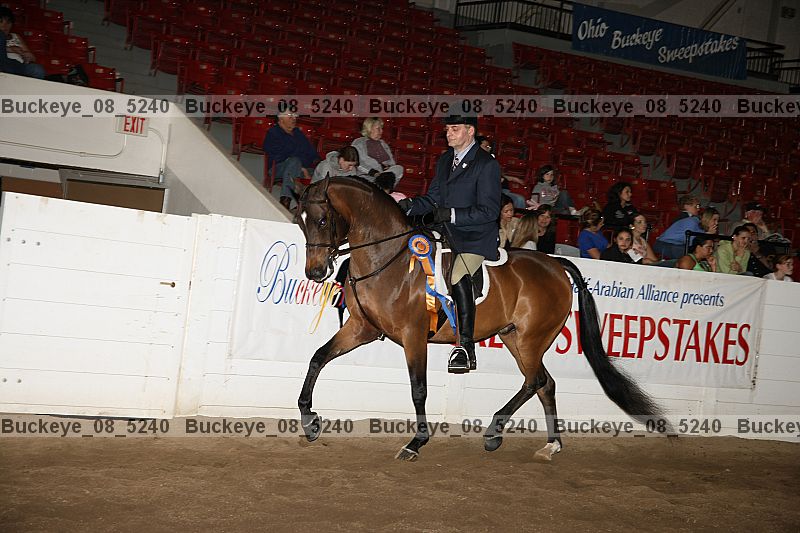 Proof Number buckeye_08_5240