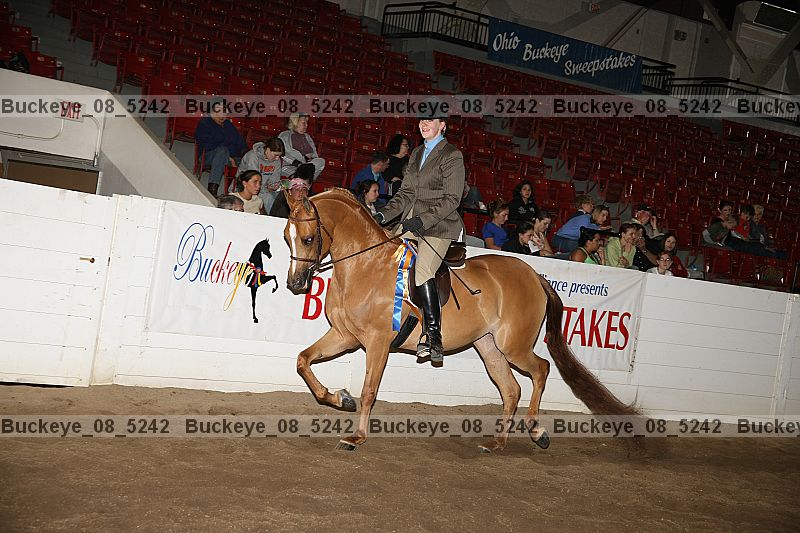 Proof Number buckeye_08_5242