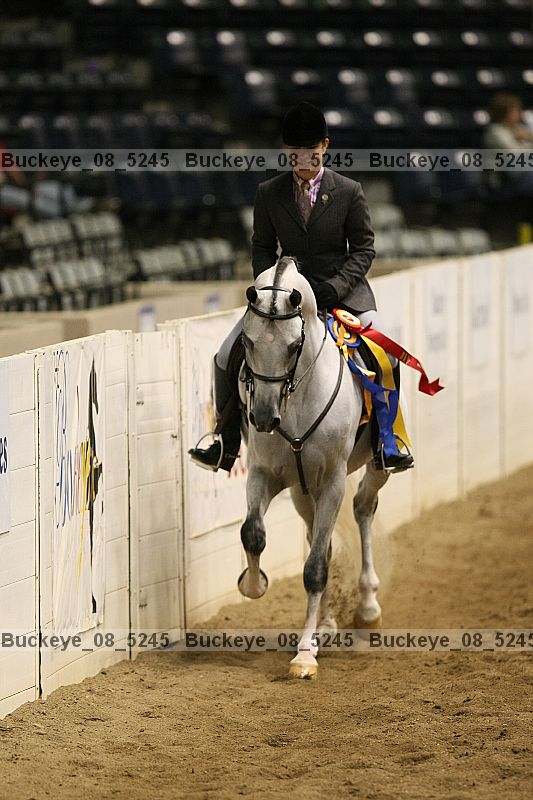 Proof Number buckeye_08_5245