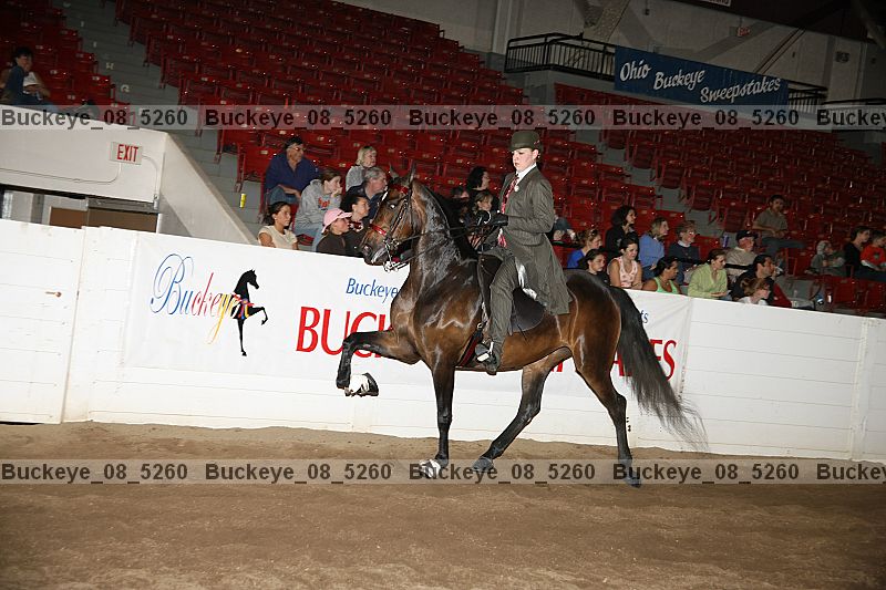Proof Number buckeye_08_5260