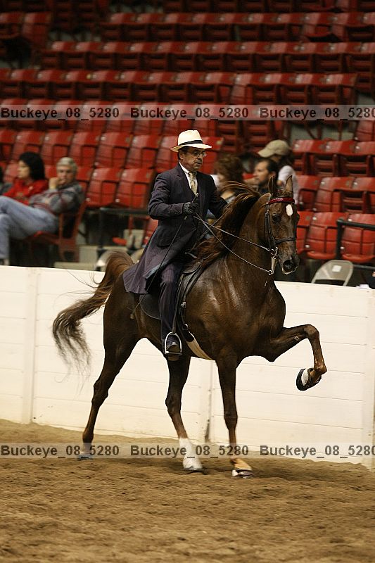 Proof Number buckeye_08_5280