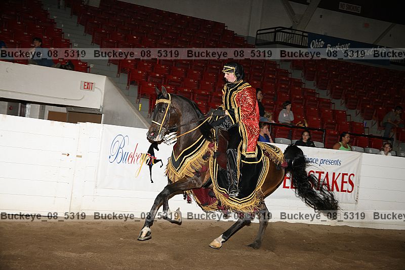 Proof Number buckeye_08_5319