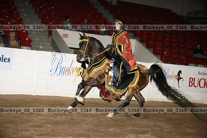 Proof Number buckeye_08_5340