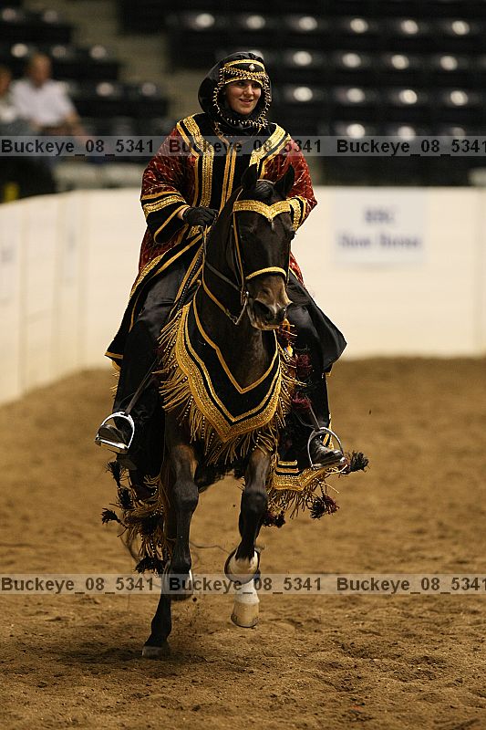 Proof Number buckeye_08_5341