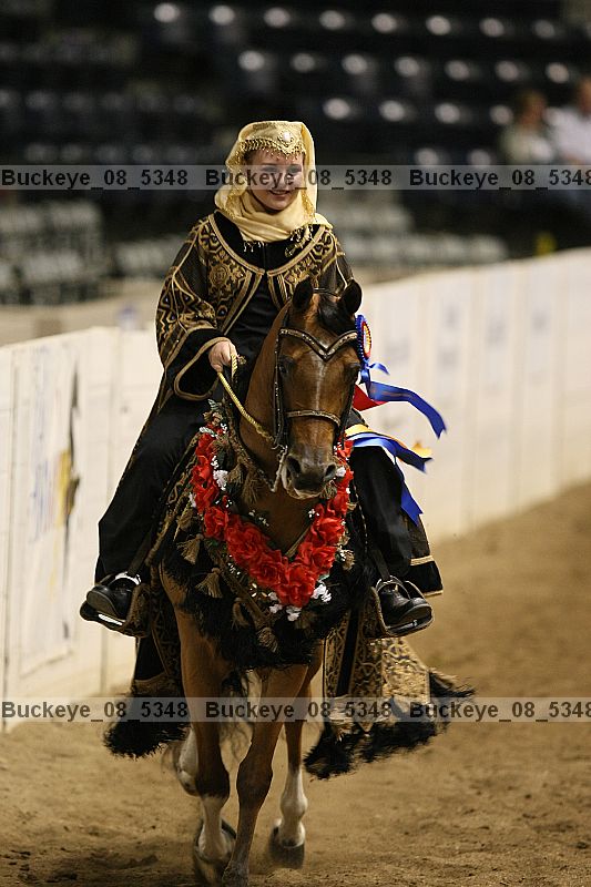 Proof Number buckeye_08_5348