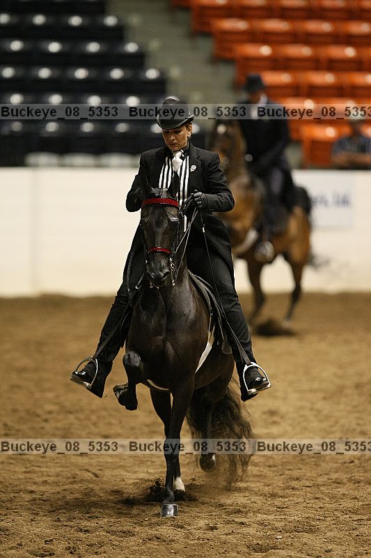 Proof Number buckeye_08_5353