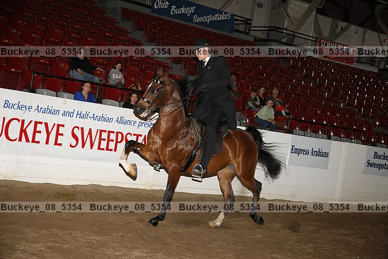 Proof Number buckeye_08_5354