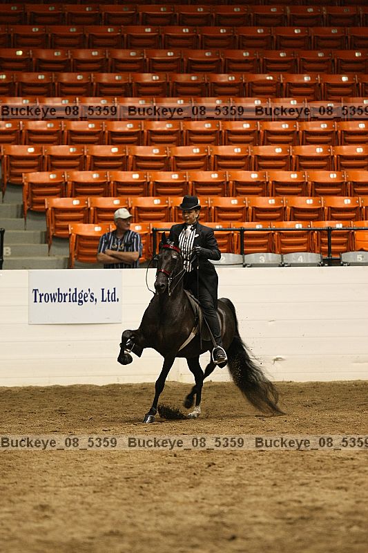 Proof Number buckeye_08_5359