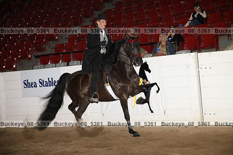 Proof Number buckeye_08_5361