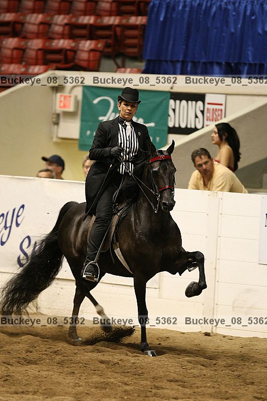 Proof Number buckeye_08_5362