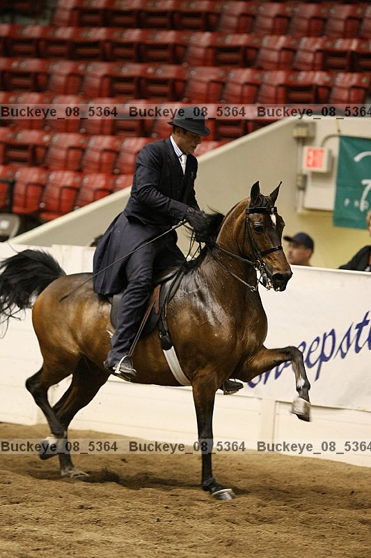 Proof Number buckeye_08_5364