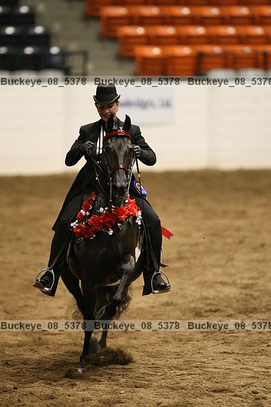 Proof Number buckeye_08_5378
