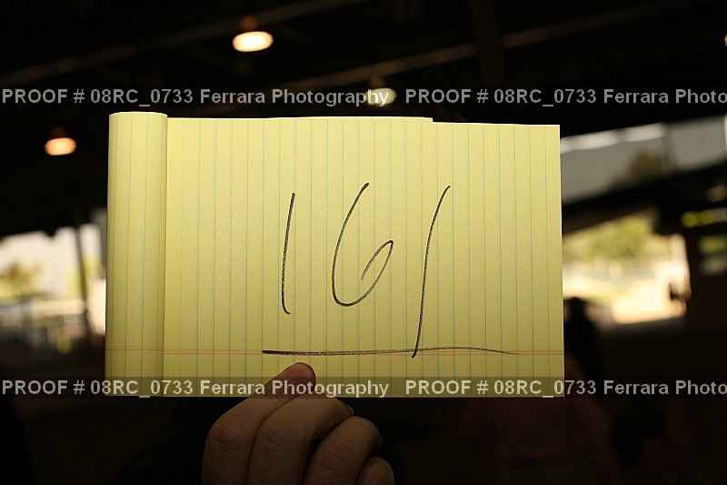 Proof Number 08RC_0733