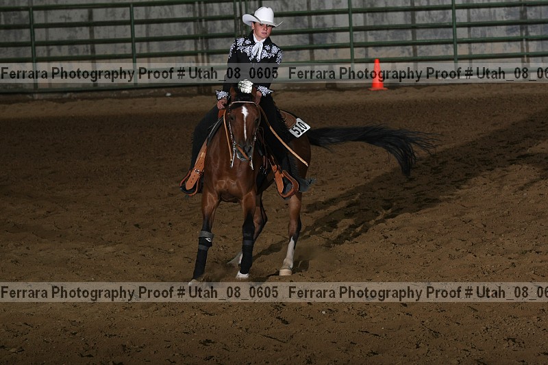 Proof Number utah_08_0605