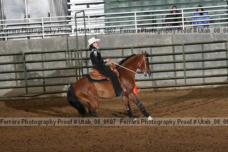 Proof Number utah_08_0607