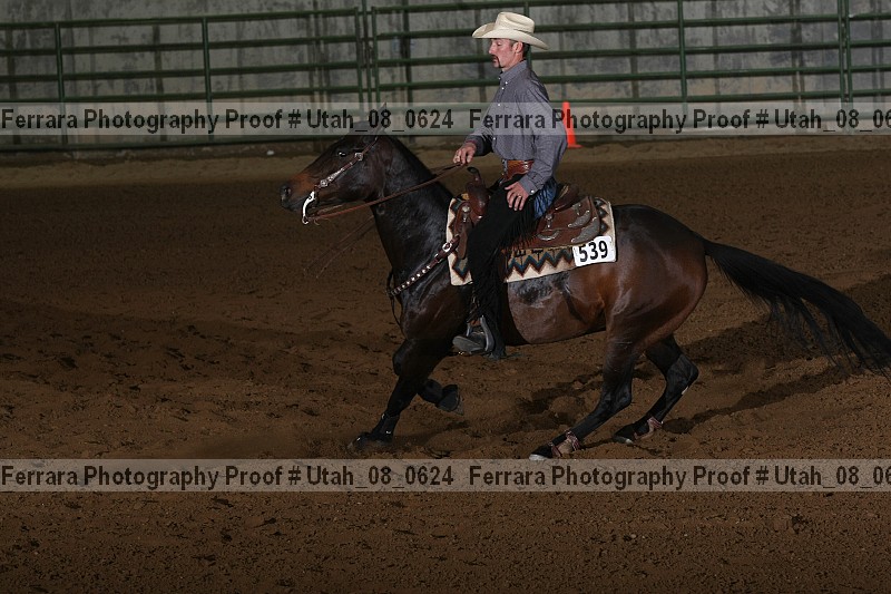 Proof Number utah_08_0624