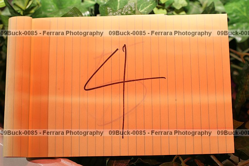 Proof Number 09buck-0085