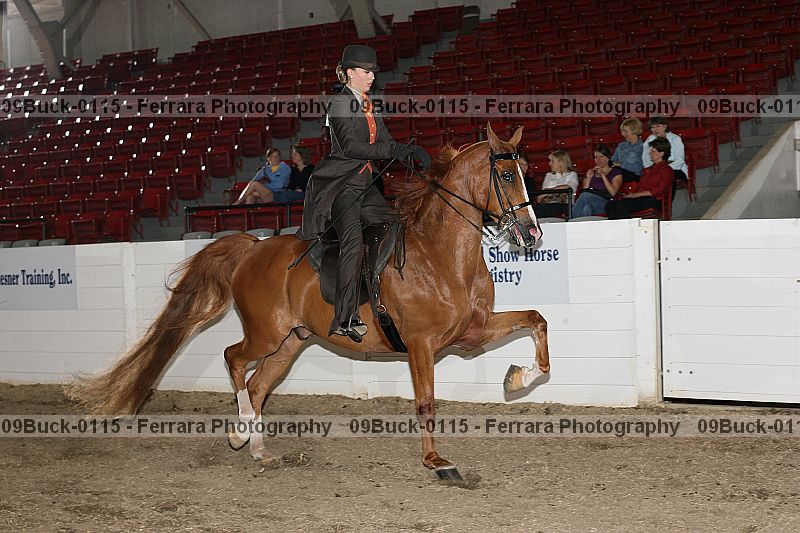 Proof Number 09buck-0115