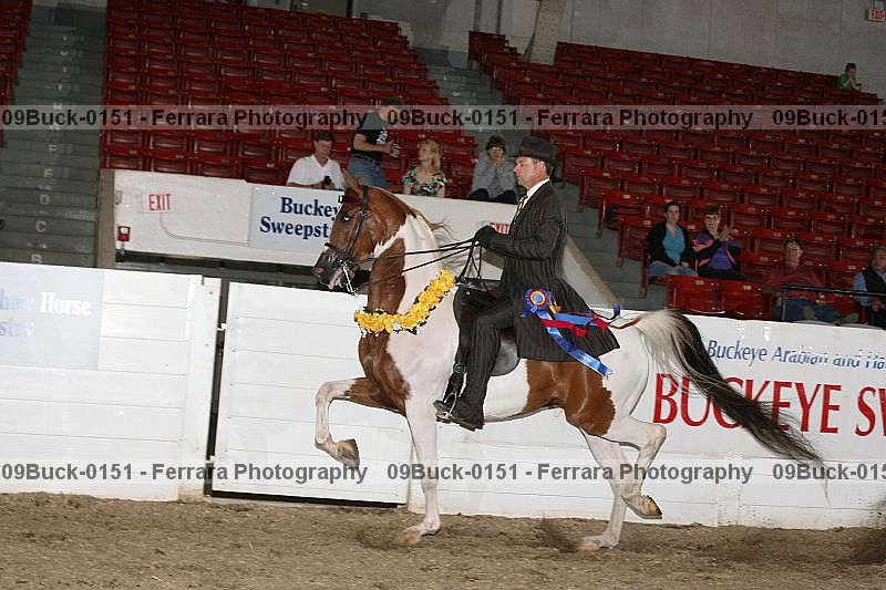 Proof Number 09buck-0151