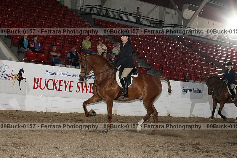 Proof Number 09buck-0157