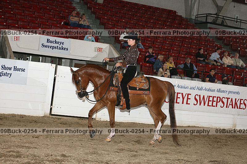 Proof Number 09buck-0254