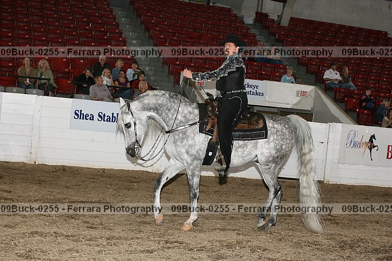 Proof Number 09buck-0255