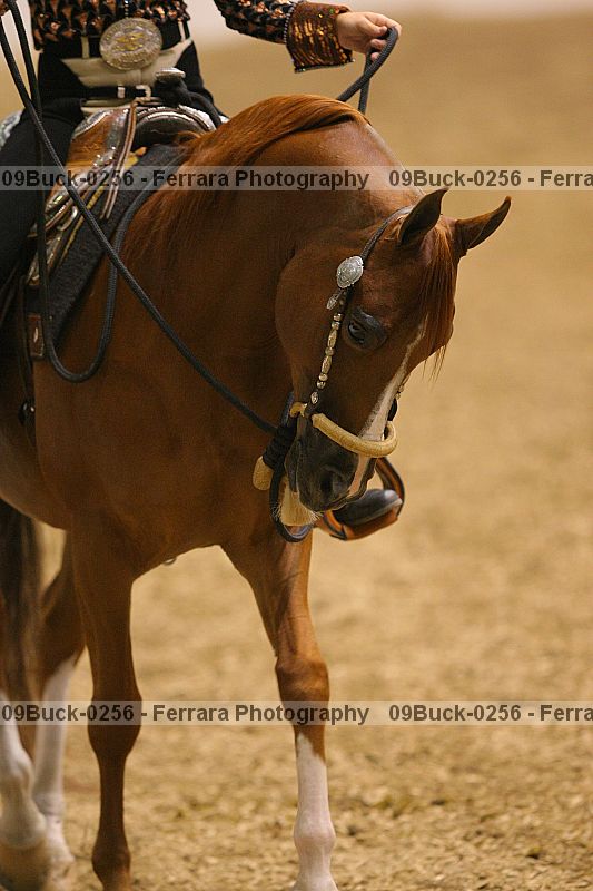 Proof Number 09buck-0256