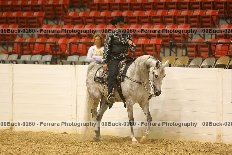 Proof Number 09buck-0260