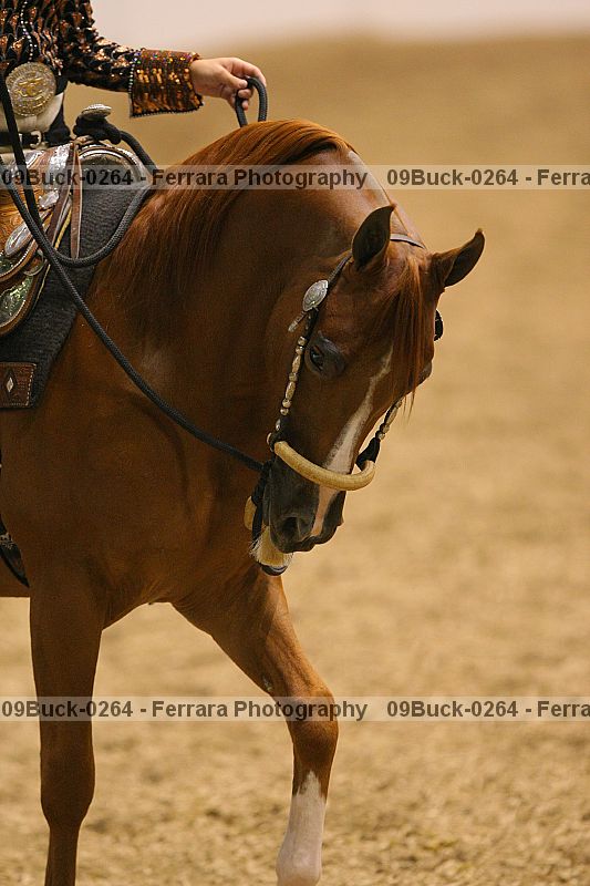 Proof Number 09buck-0264